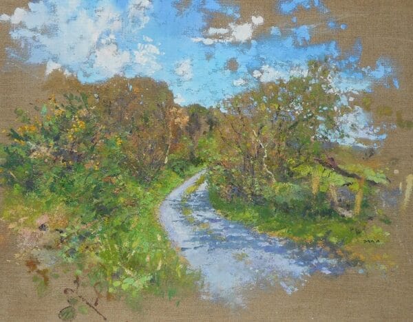 Picture of a beautiful scene with country lane, hedgerow and blue summer sky